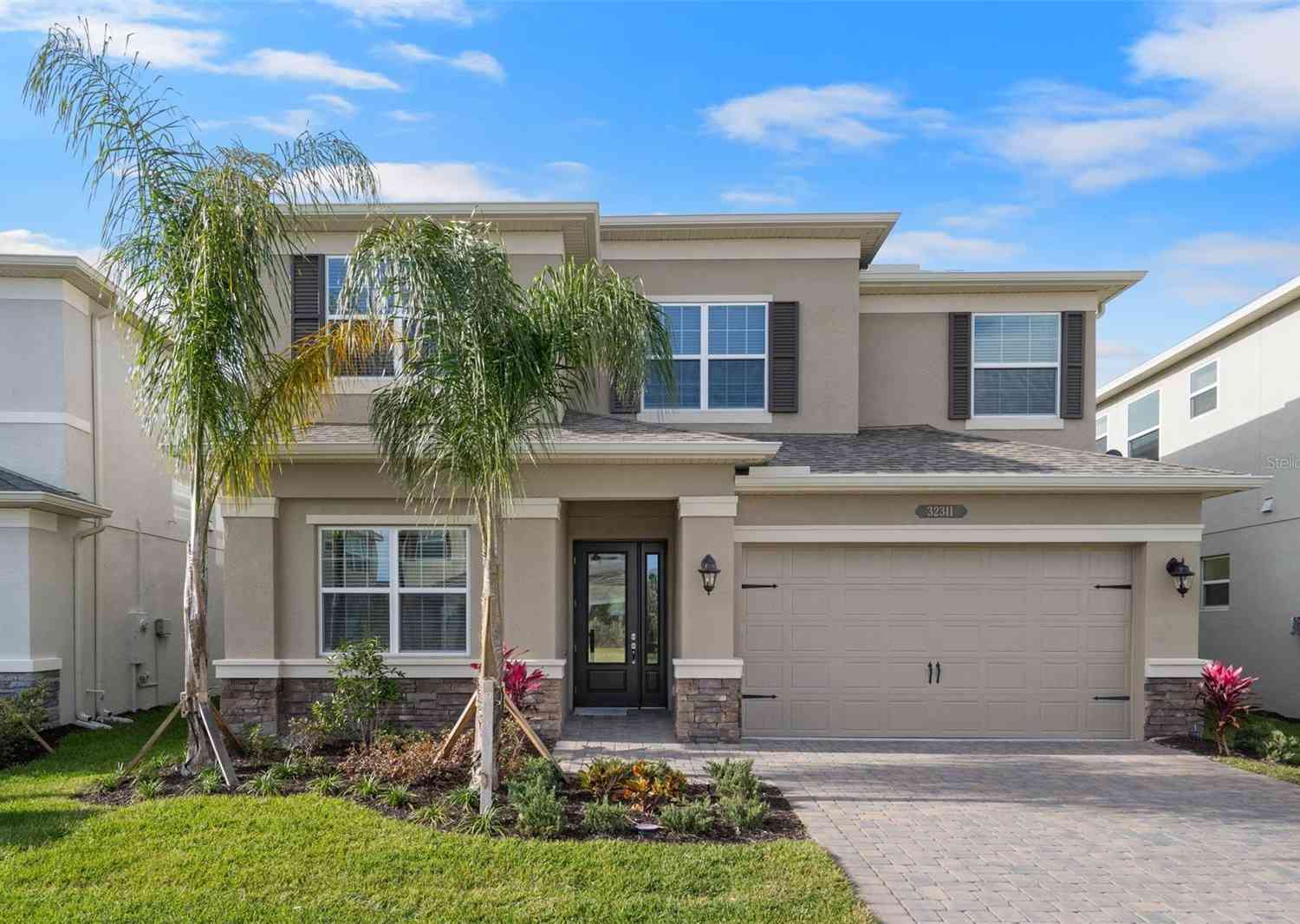 32311 Mahogany Valley Drive, Wesley Chapel, Florida image 1