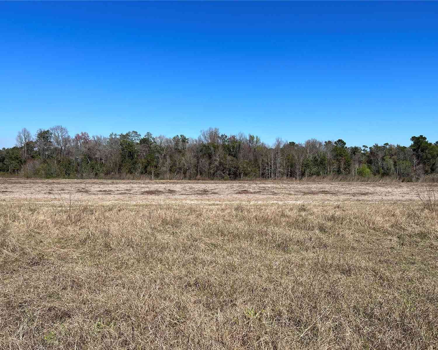 LOT 01 E Hwy 318, FORT MC COY, Florida image 1