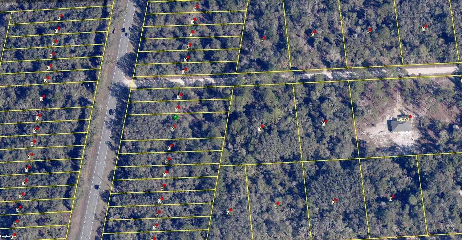 8146 Treiman Boulevard, WEBSTER, Florida image 1