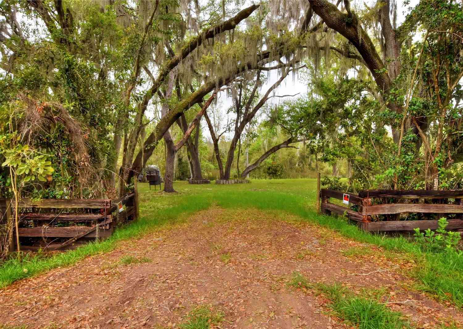 Albritton, MULBERRY, Florida image 2