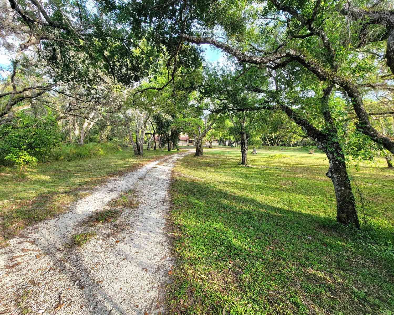 36442 Singletary Road, MYAKKA CITY, Florida image 42