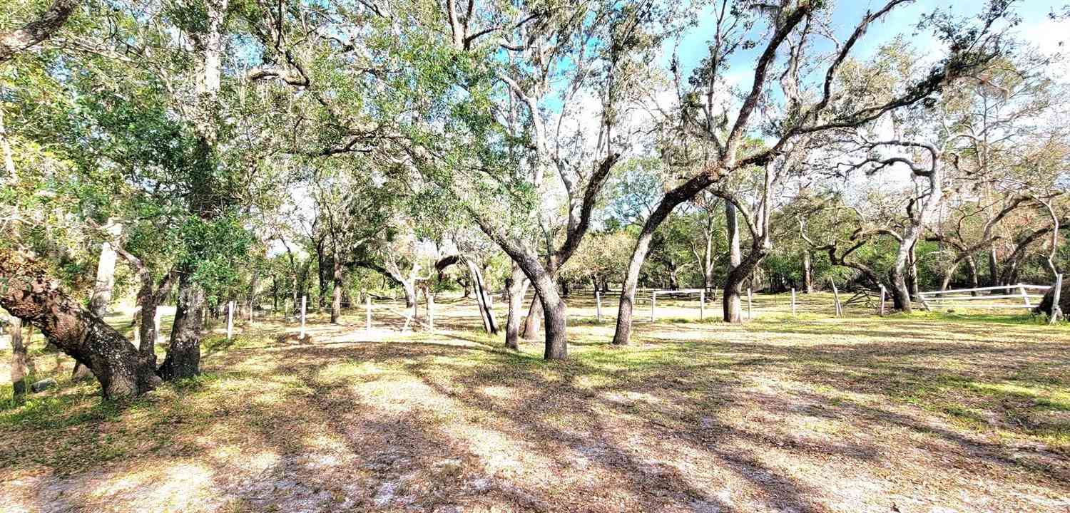 36442 Singletary Road, MYAKKA CITY, Florida image 36