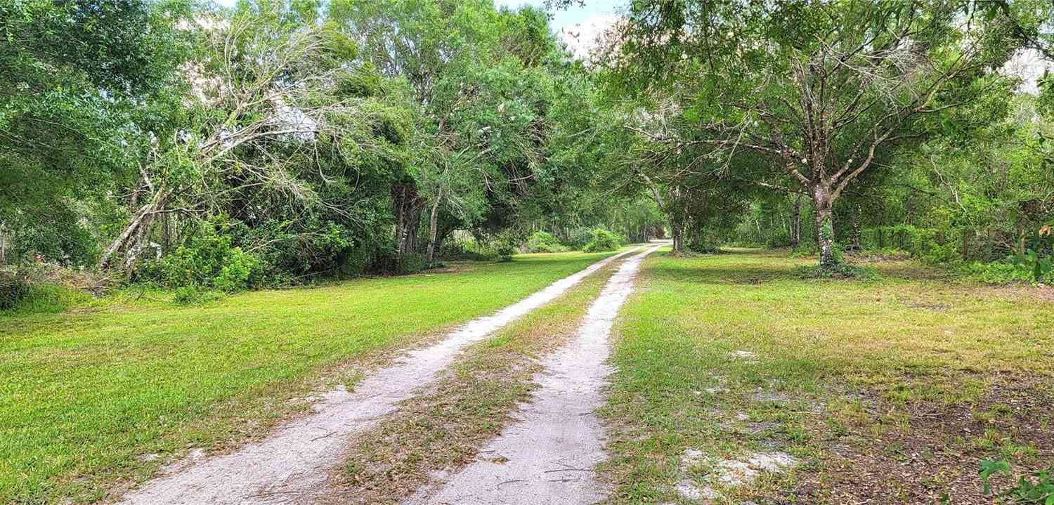 36442 Singletary Road, MYAKKA CITY, Florida image 37