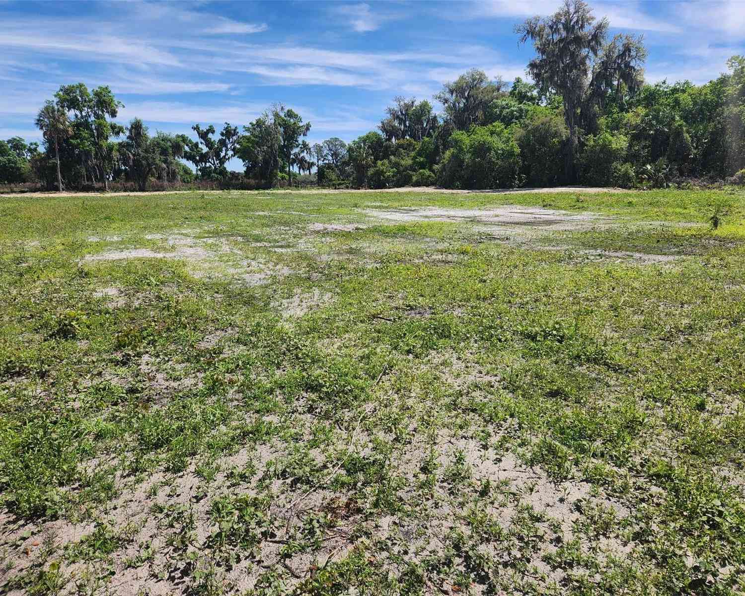 S County Road 39 #LOT 4, LITHIA, Florida image 2