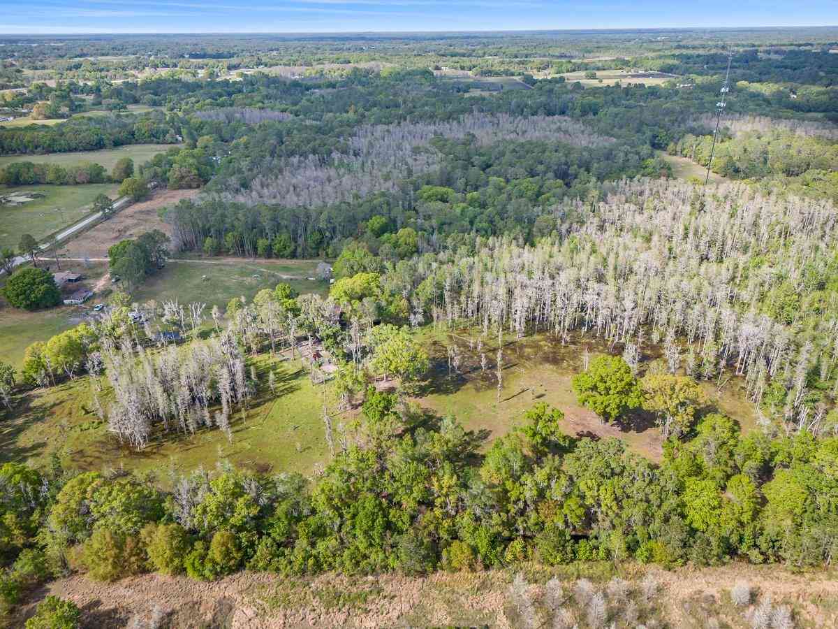 14905 Cr 757, WEBSTER, Florida image 30