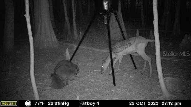 14905 Cr 757, WEBSTER, Florida image 34