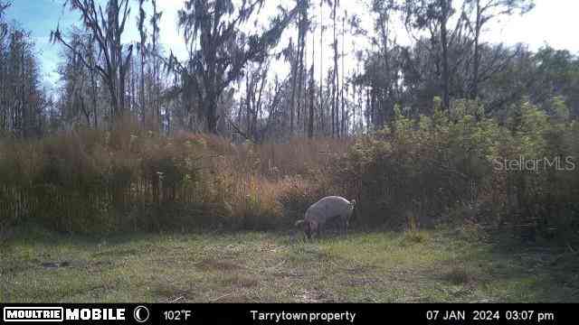 14905 Cr 757, WEBSTER, Florida image 4