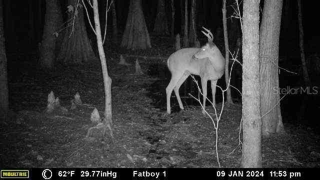 14905 Cr 757, WEBSTER, Florida image 37