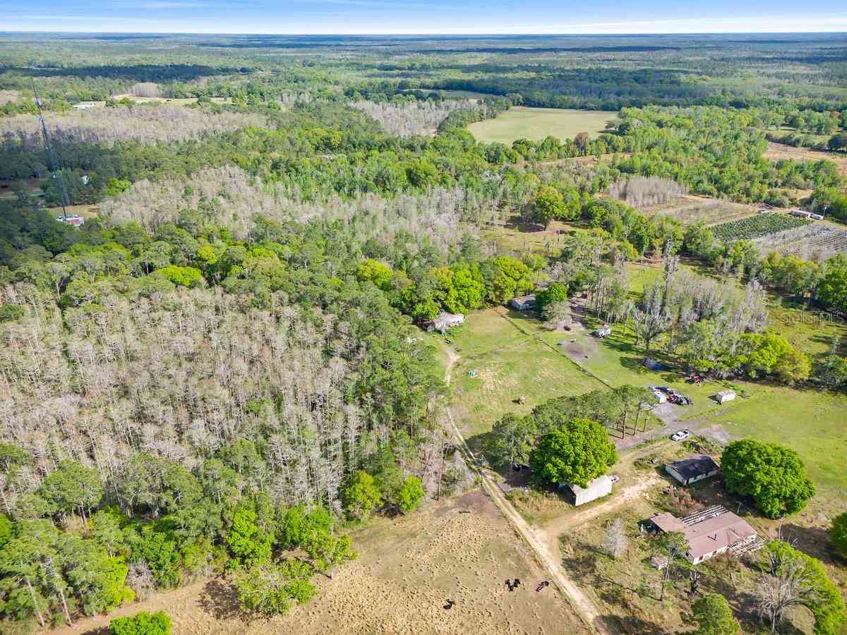 14905 Cr 757, WEBSTER, Florida image 16