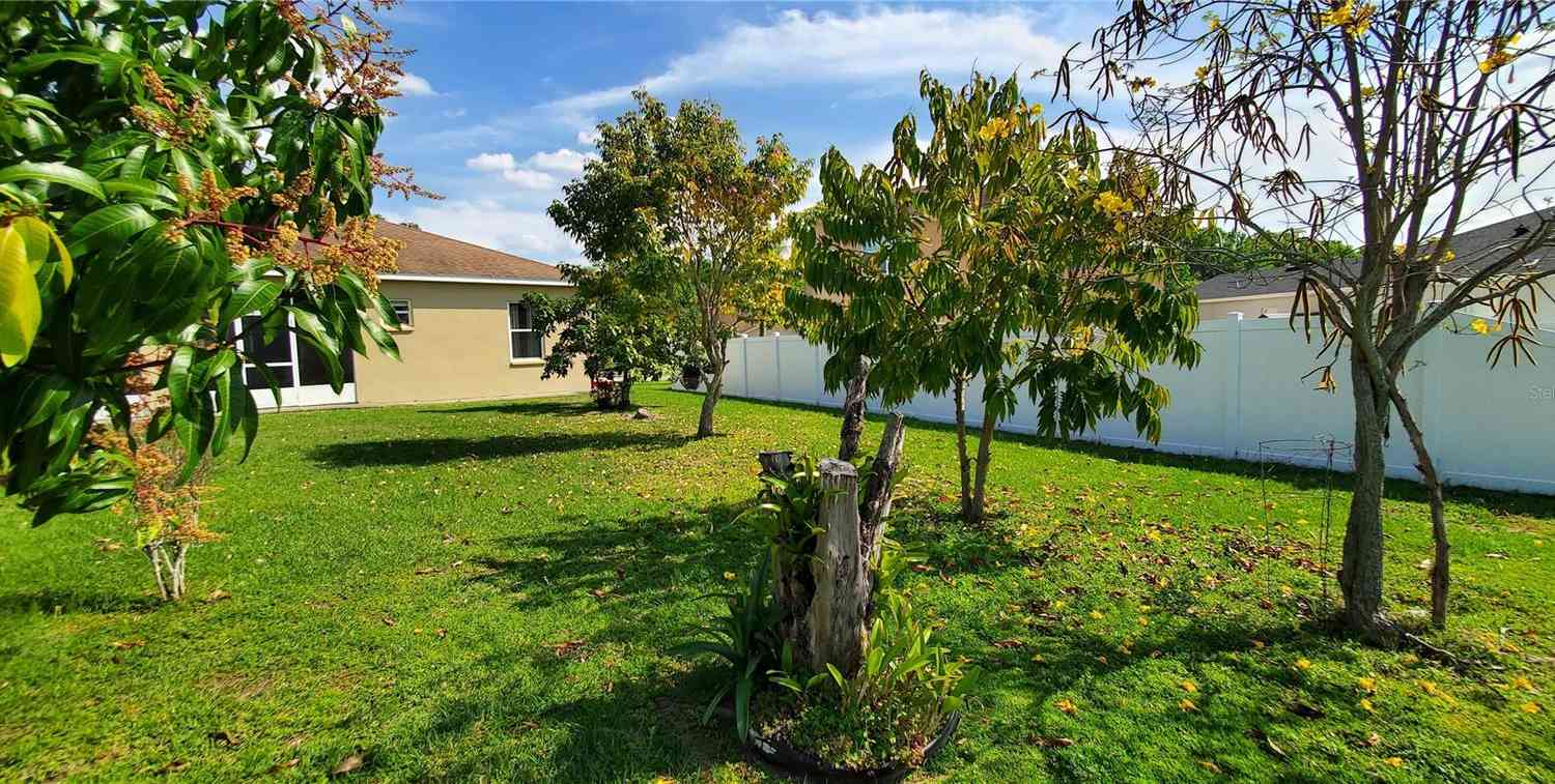 3268 Enclave Boulevard, MULBERRY, Florida image 32