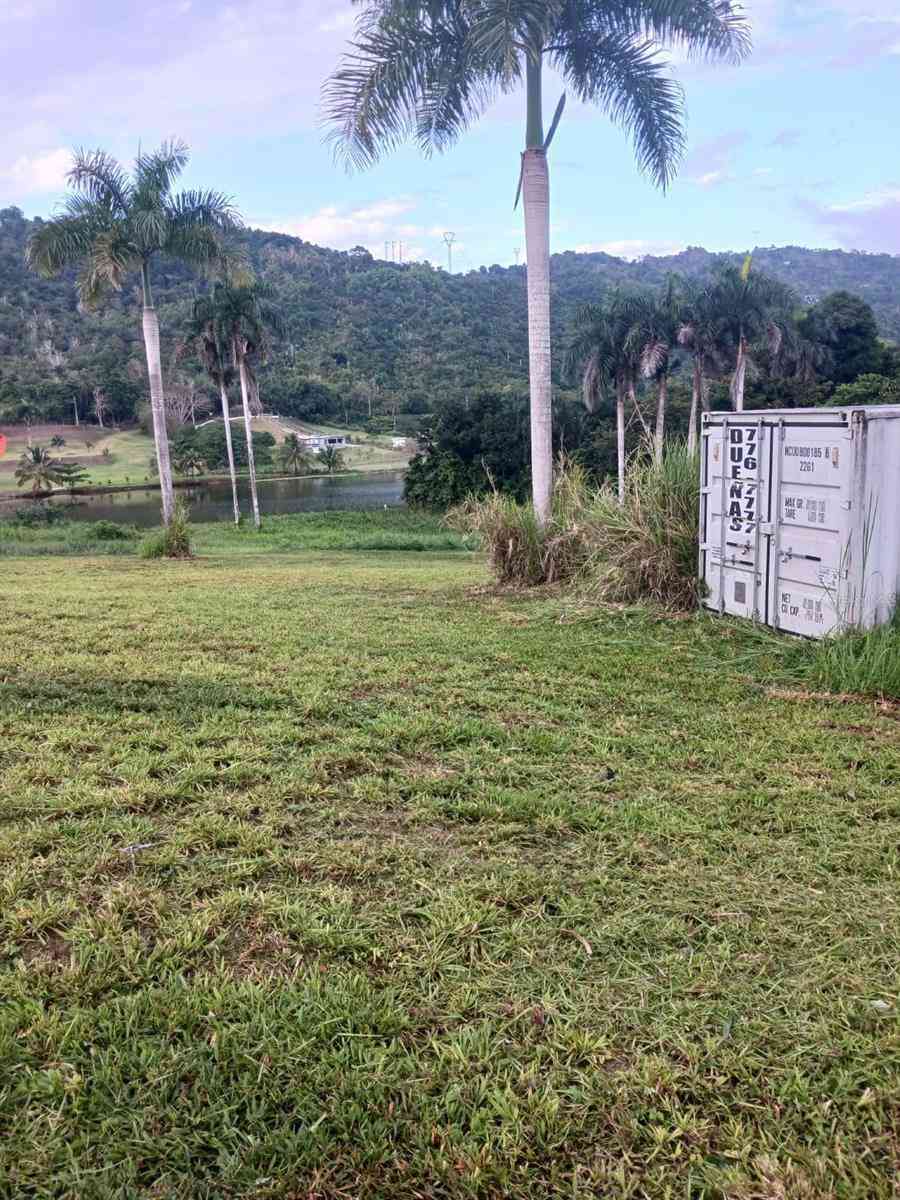 Calle Carraizo, CAGUAS, Puerto Rico image 19