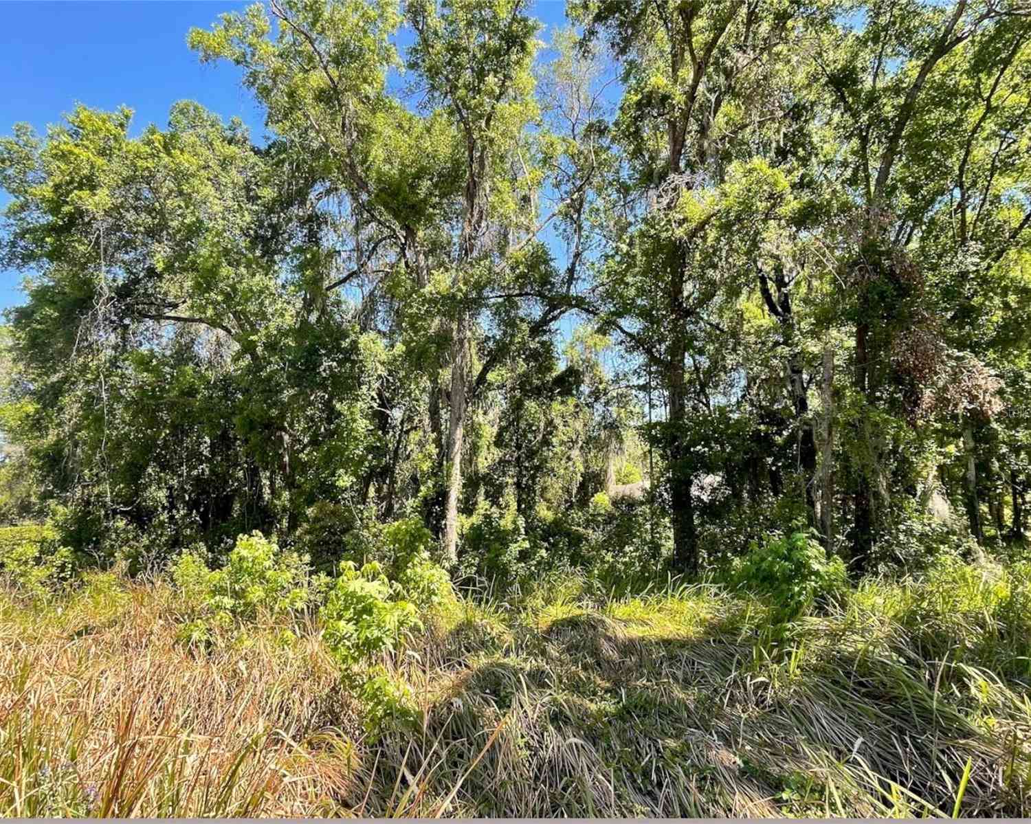 10126 Kimbrough Drive, BROOKSVILLE, Florida image 9