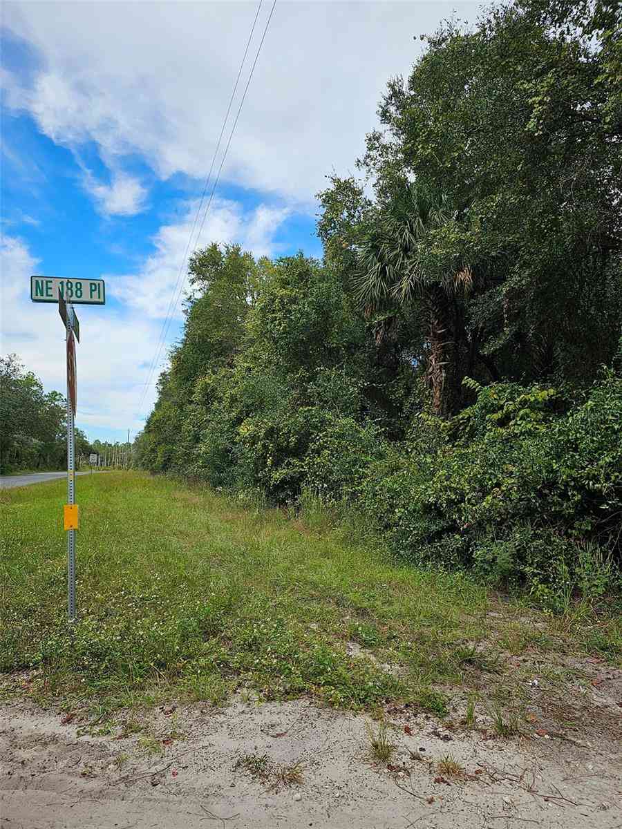 00 148th Terrace Road, FORT MC COY, Florida image 1