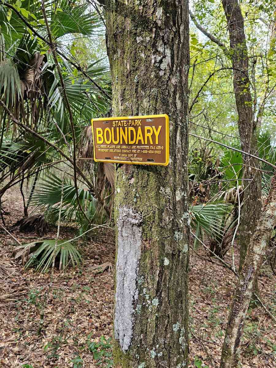 00 148th Terrace Road, FORT MC COY, Florida image 8