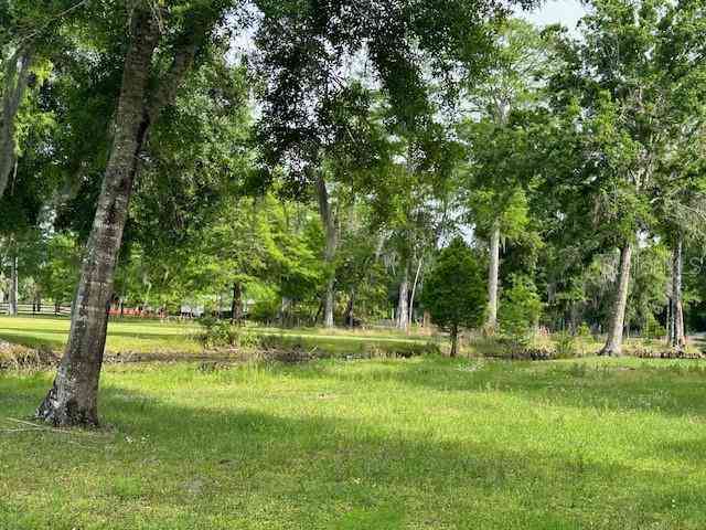 Tbd Corkwood Lane, ASTATULA, Florida image 10