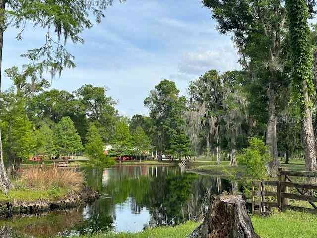 Tbd Corkwood Lane, ASTATULA, Florida image 13