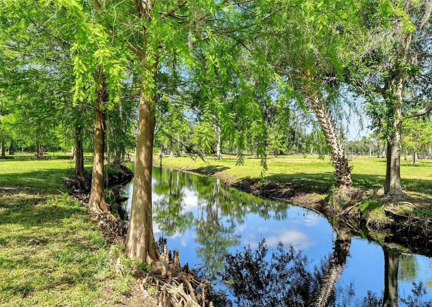 Tbd Corkwood Lane, ASTATULA, Florida image 1