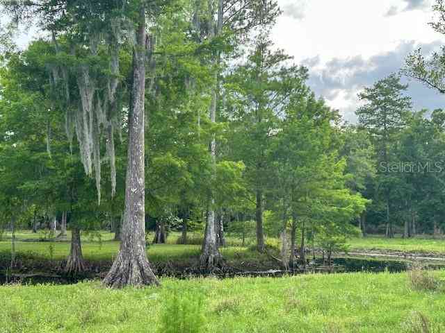 Tbd Corkwood Lane, ASTATULA, Florida image 35