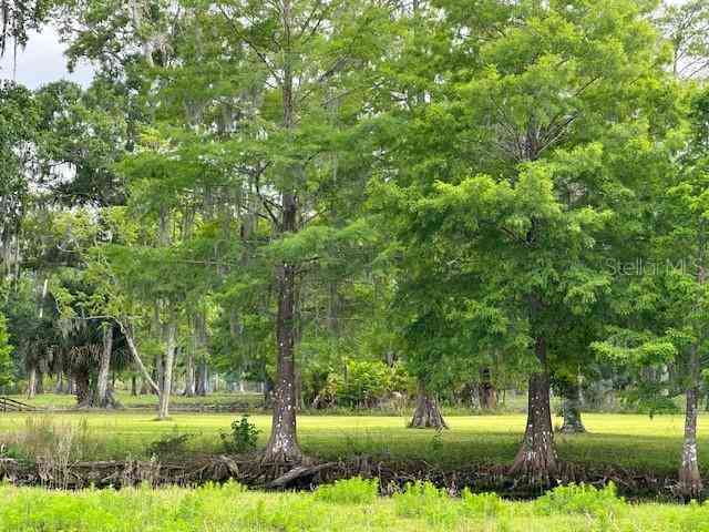 Tbd Corkwood Lane, ASTATULA, Florida image 31