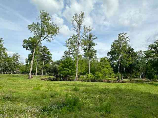 Tbd Corkwood Lane, ASTATULA, Florida image 9