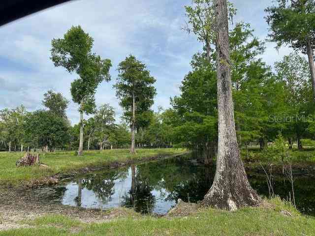 Tbd Corkwood Lane, ASTATULA, Florida image 24