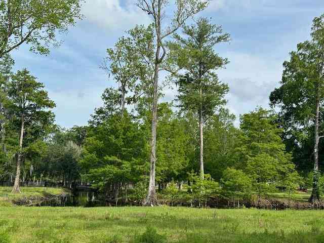 Tbd Corkwood Lane, ASTATULA, Florida image 8