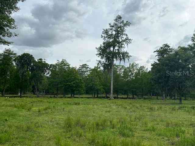 Tbd Corkwood Lane, ASTATULA, Florida image 29