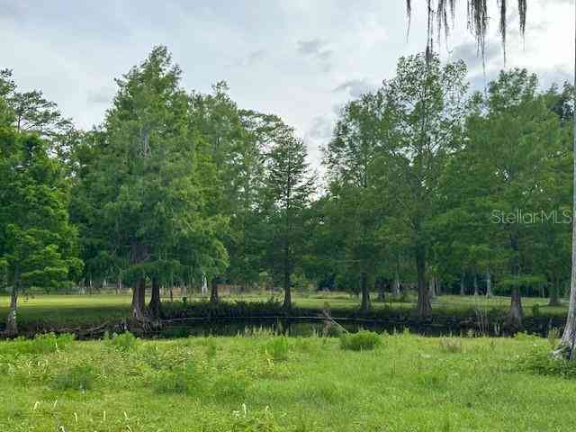 Tbd Corkwood Lane, ASTATULA, Florida image 33