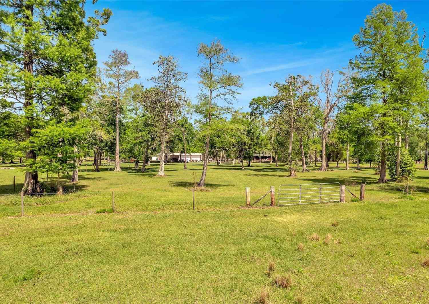 Tbd Corkwood Lane, ASTATULA, Florida image 37