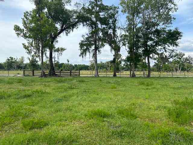 Tbd Corkwood Lane, ASTATULA, Florida image 26