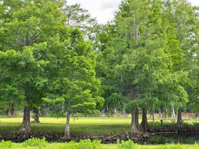 Tbd Corkwood Lane, ASTATULA, Florida image 30