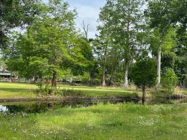 Tbd Corkwood Lane, ASTATULA, Florida image 11