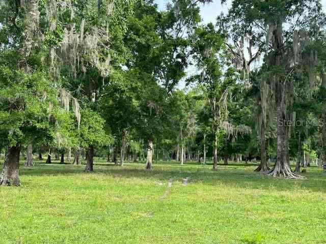 Tbd Corkwood Lane, ASTATULA, Florida image 14