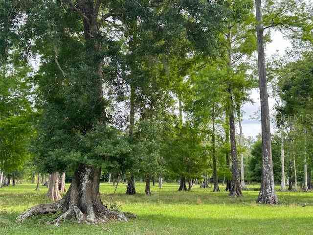 Tbd Corkwood Lane, ASTATULA, Florida image 15