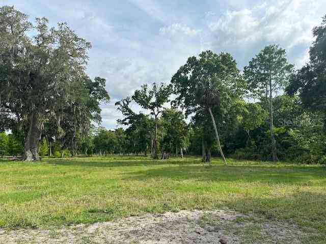 Tbd Corkwood Lane, ASTATULA, Florida image 7