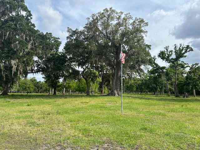 Tbd Corkwood Lane, ASTATULA, Florida image 4