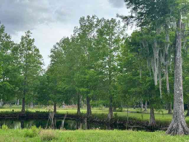 Tbd Corkwood Lane, ASTATULA, Florida image 34