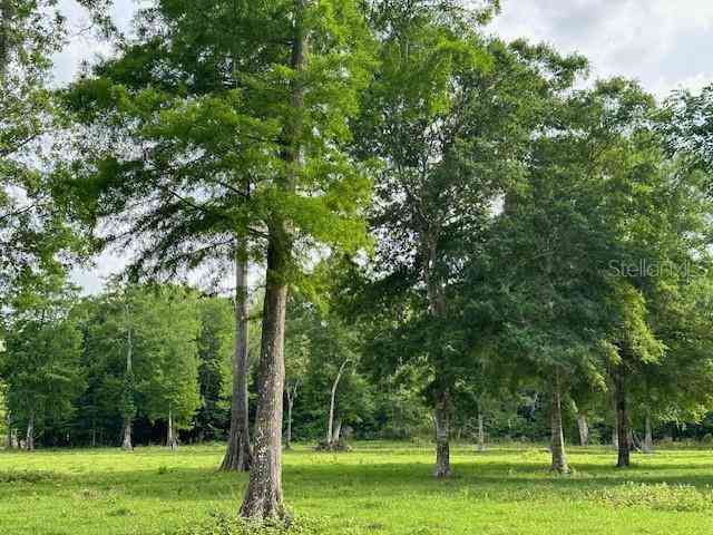 Tbd Corkwood Lane, ASTATULA, Florida image 17