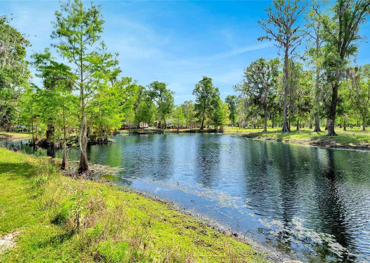 Tbd Corkwood Lane, ASTATULA, Florida image 40