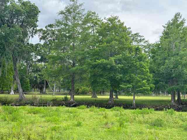 Tbd Corkwood Lane, ASTATULA, Florida image 32