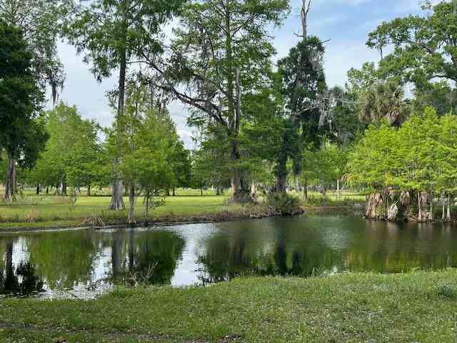 Tbd Corkwood Lane, ASTATULA, Florida image 22