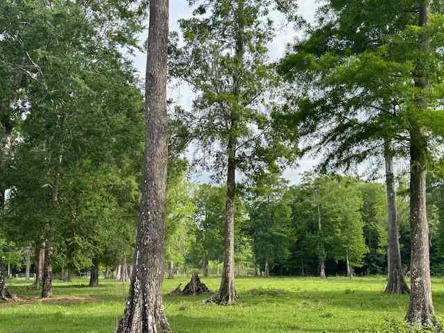 Tbd Corkwood Lane, ASTATULA, Florida image 19