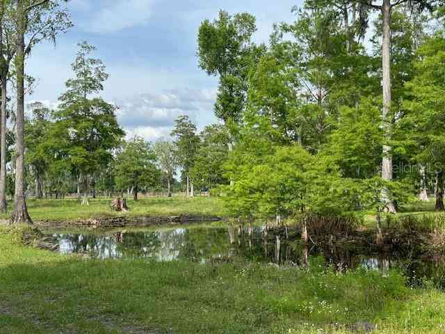 Tbd Corkwood Lane, ASTATULA, Florida image 12