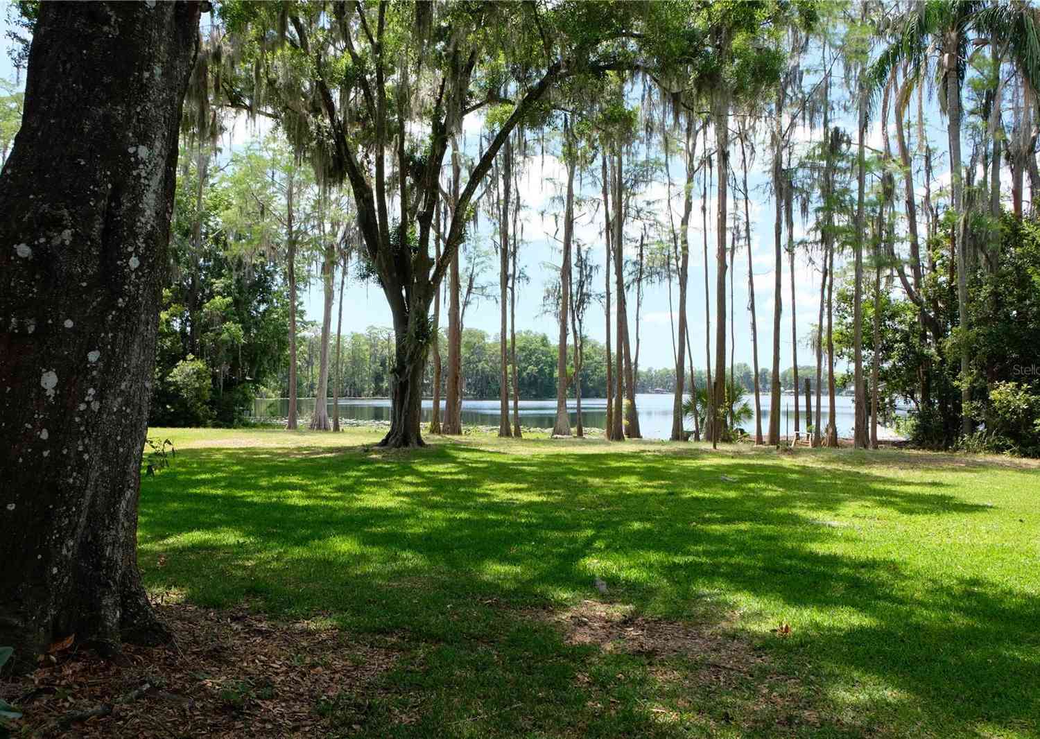 16308 Rock Lake Drive, ODESSA, Florida image 12