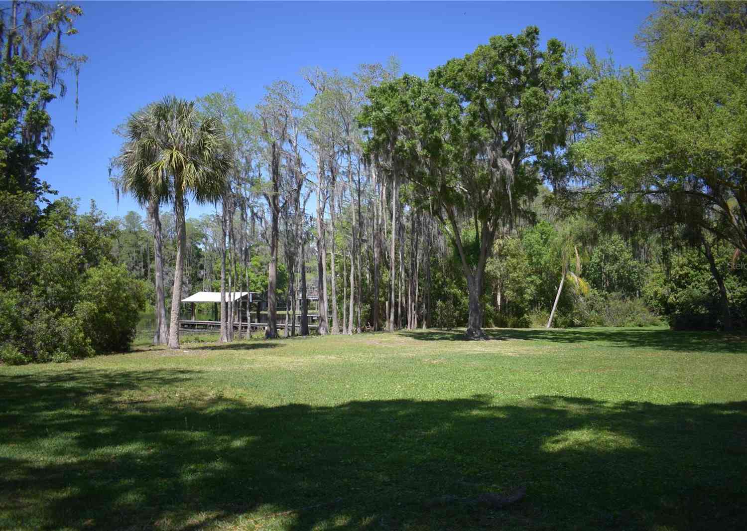 16308 Rock Lake Drive, ODESSA, Florida image 9