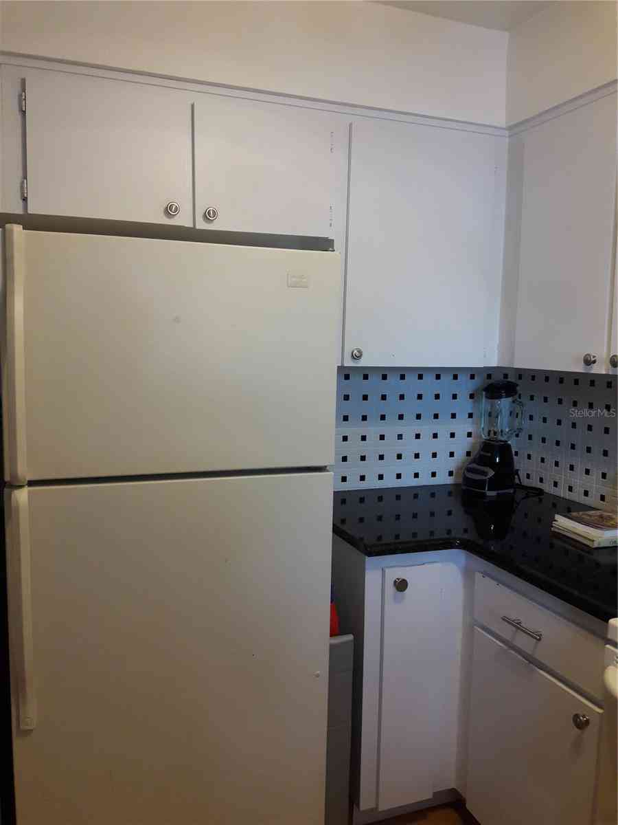 101 Lake Avenue #222, LARGO, Florida image 35
