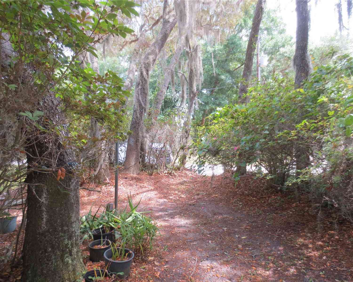 16789 SE 69th Lane, OCKLAWAHA, Florida image 19