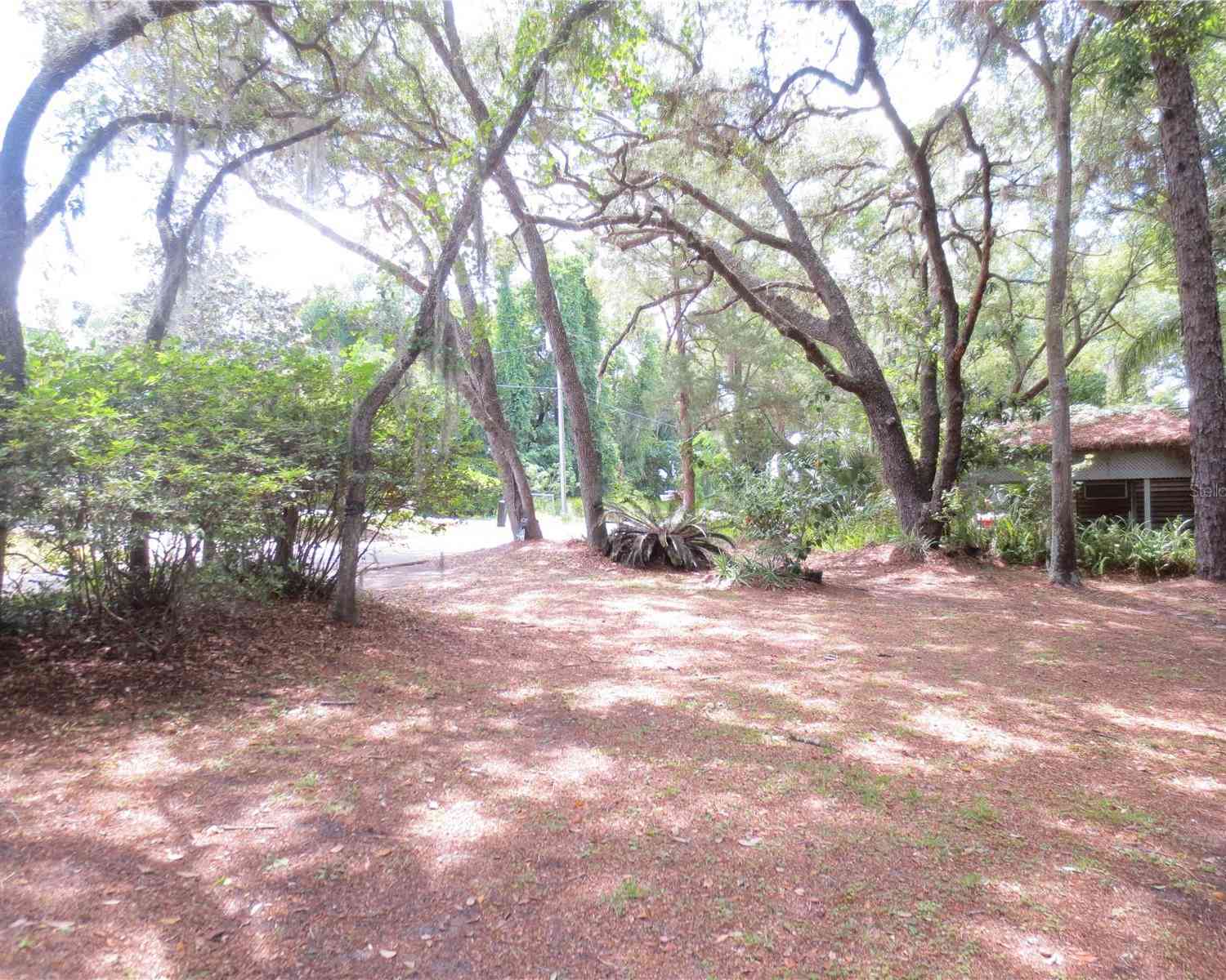 16789 SE 69th Lane, OCKLAWAHA, Florida image 22