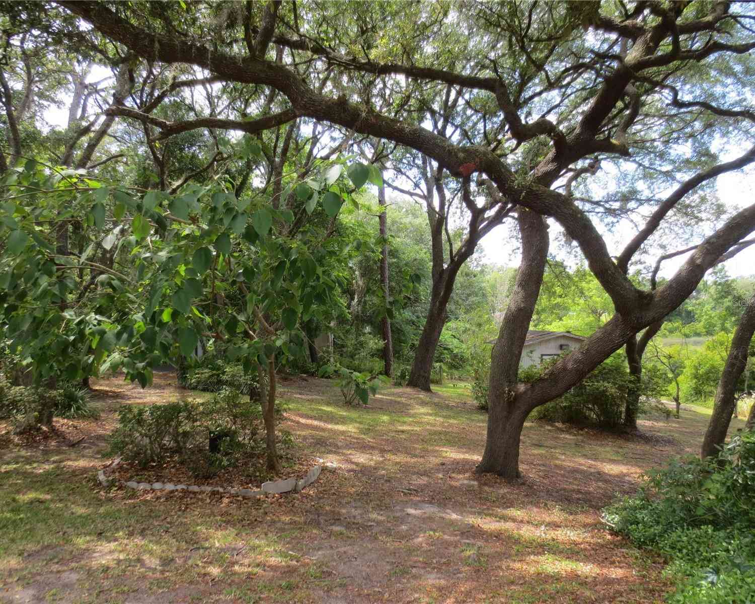 16789 SE 69th Lane, OCKLAWAHA, Florida image 17