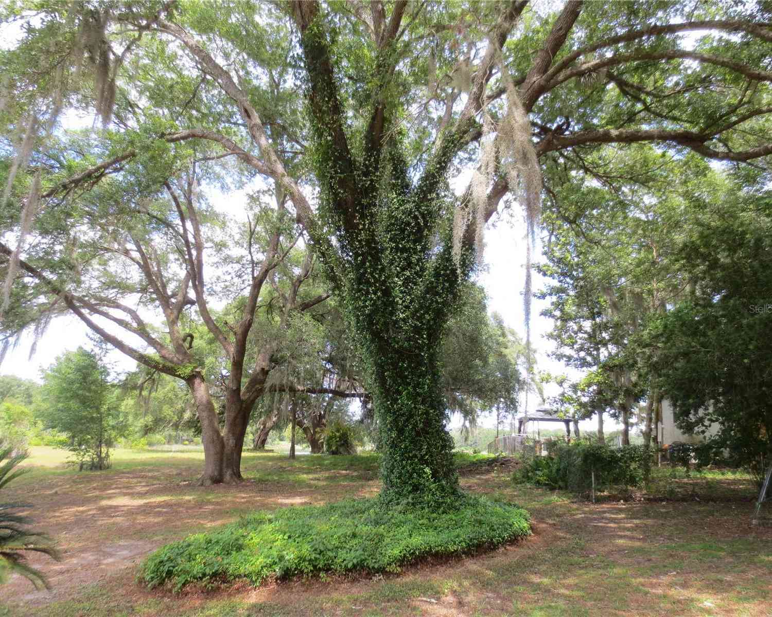 16789 SE 69th Lane, OCKLAWAHA, Florida image 14